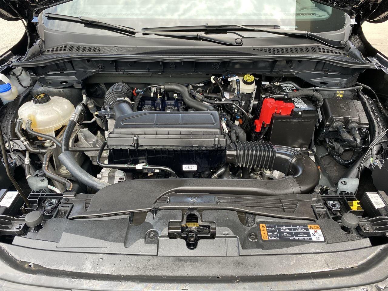 2023 Ford Escape ST-Line Photo