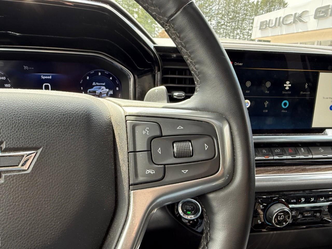 2024 Chevrolet Silverado 1500 LT Trail Boss RUNNING BOARDS. ALL WEATHER MATS. TR Photo