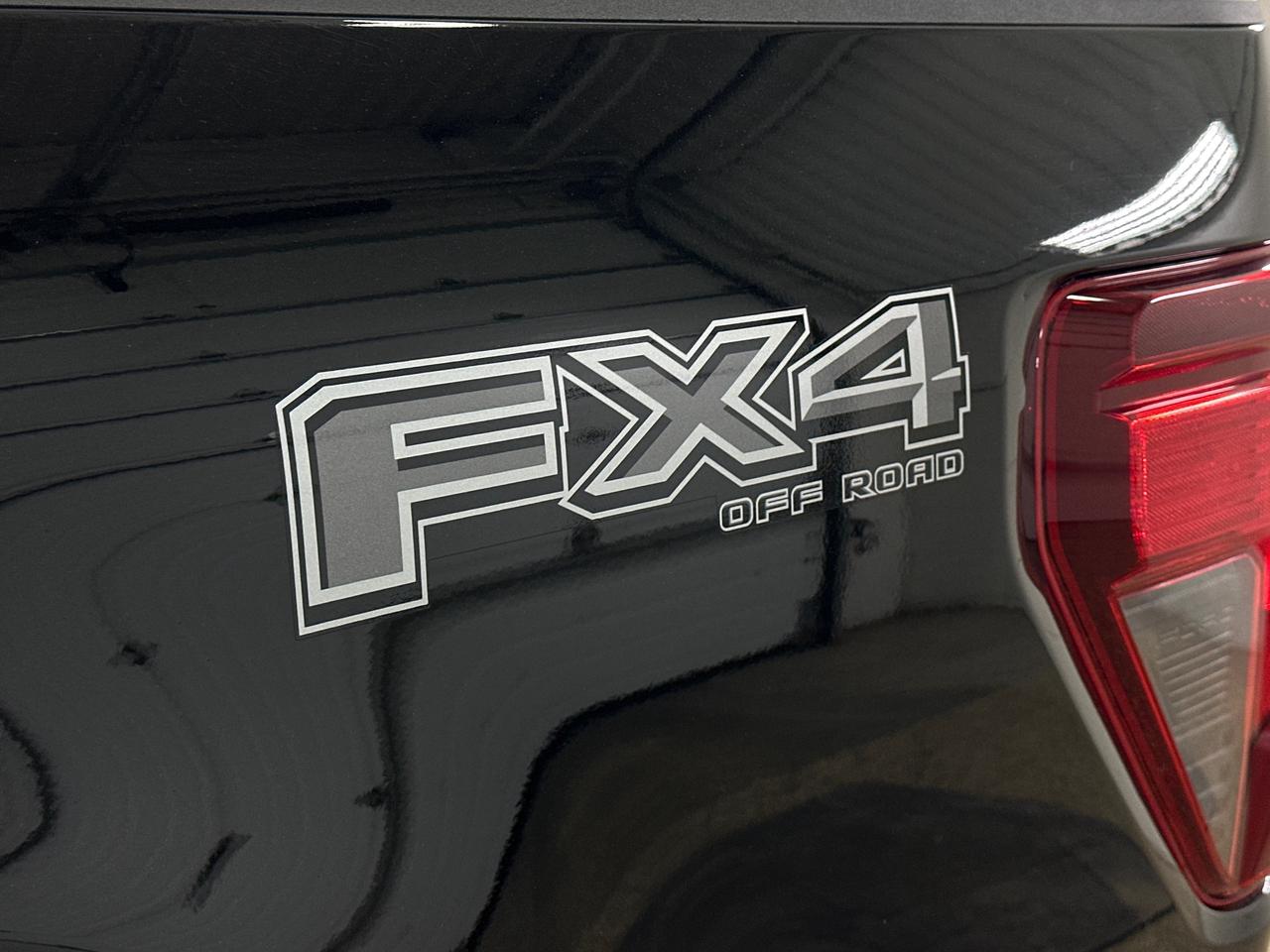 2024 Ford F-150 XLT Photo