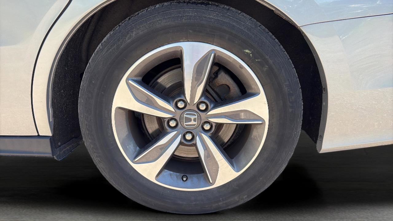 2019 Honda Odyssey  Photo