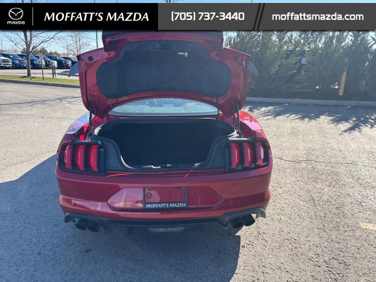 2020 Ford Mustang EcoBoost Premium Photo