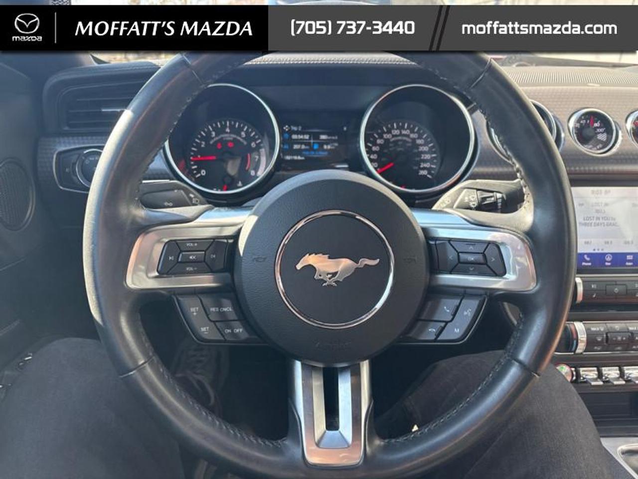 2020 Ford Mustang EcoBoost Premium Photo