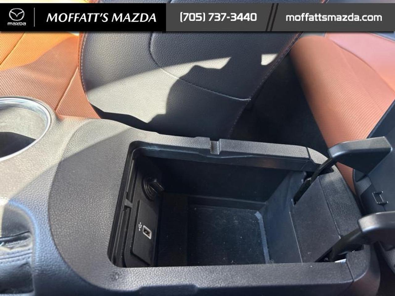 2020 Ford Mustang EcoBoost Premium Photo