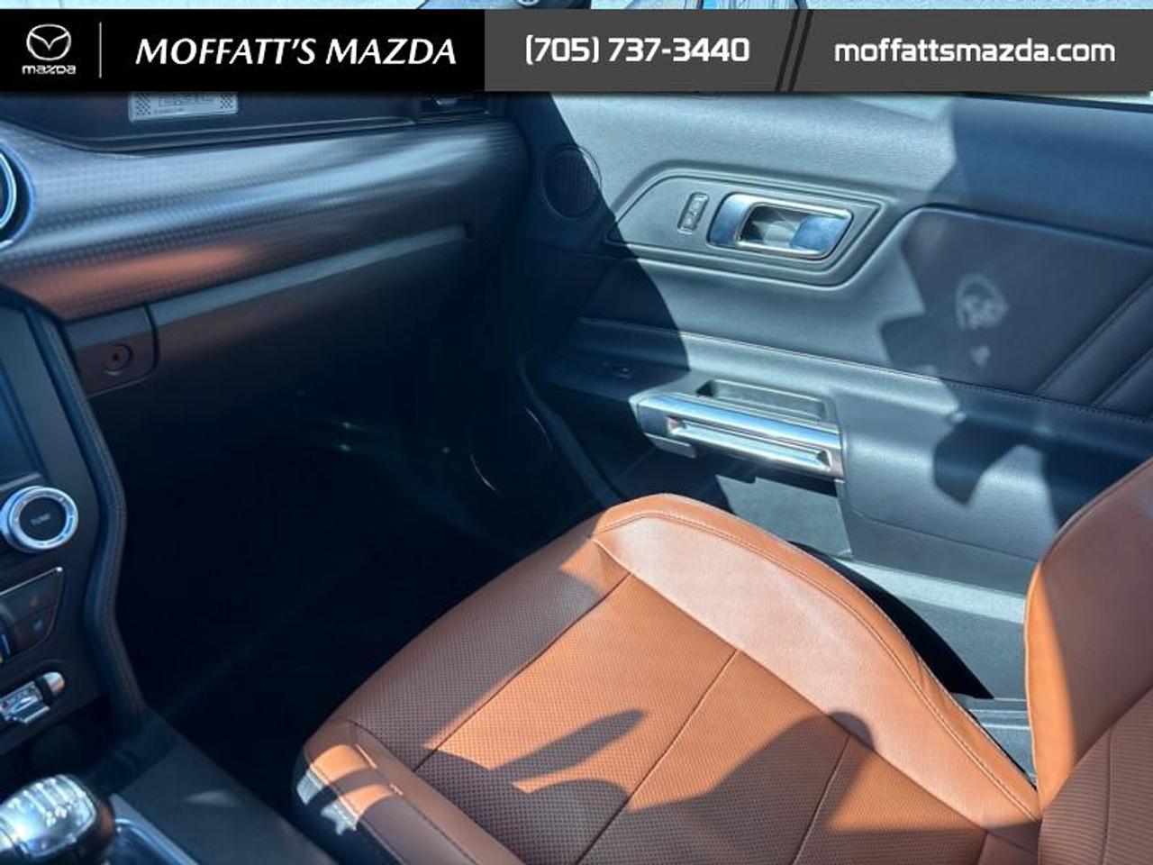 2020 Ford Mustang EcoBoost Premium Photo