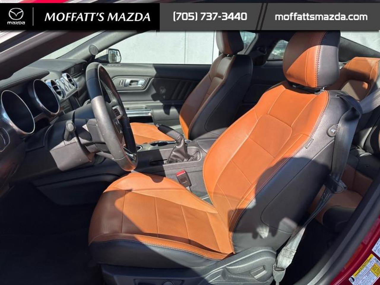 2020 Ford Mustang EcoBoost Premium Photo