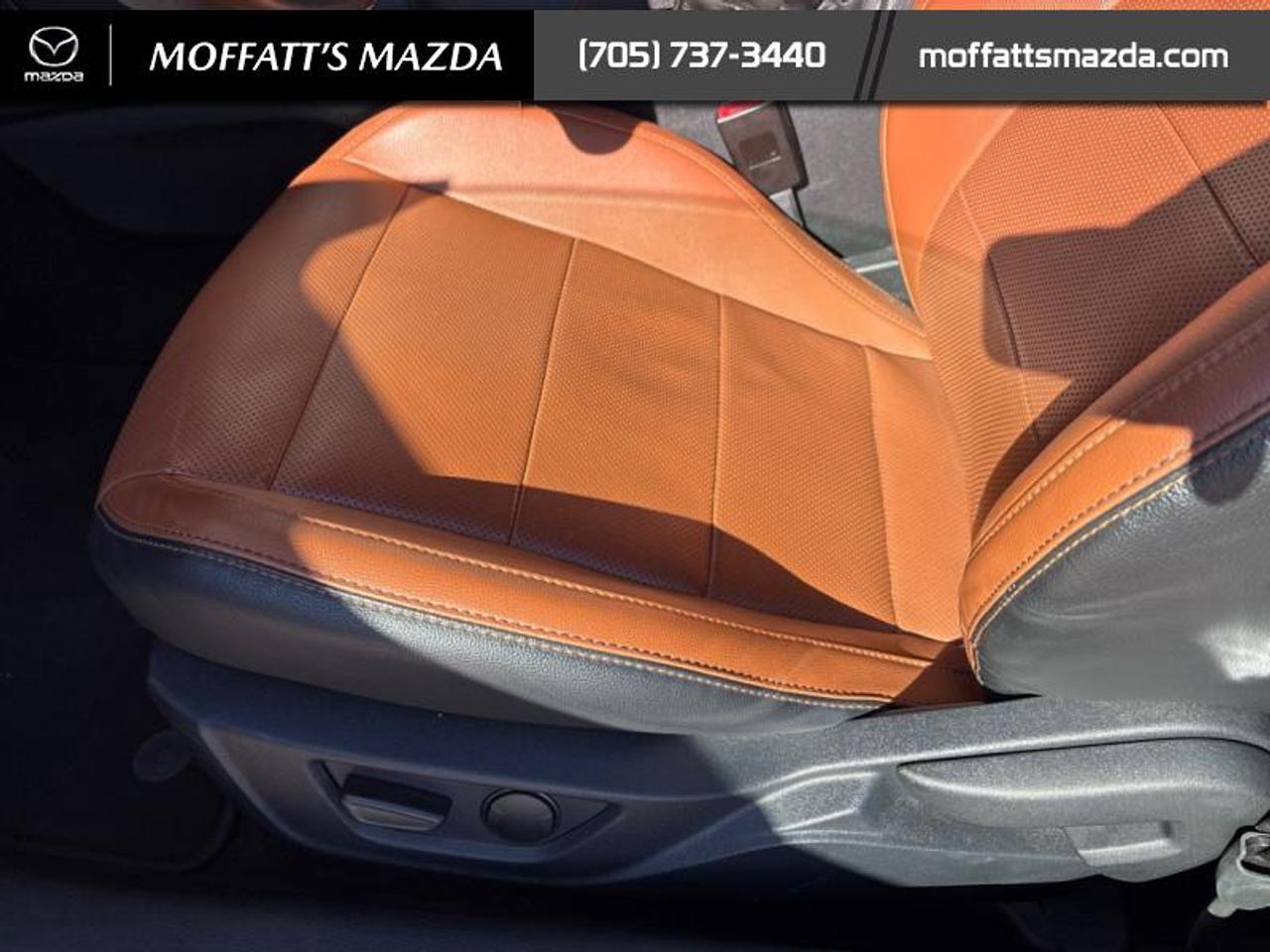 2020 Ford Mustang EcoBoost Premium Photo