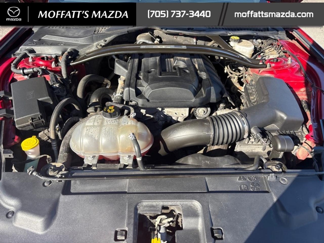 2020 Ford Mustang EcoBoost Premium Photo