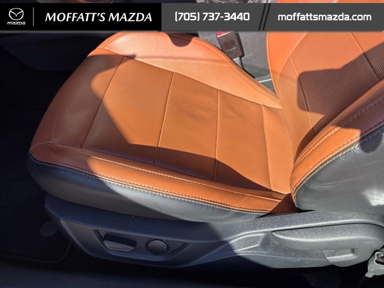 2020 Ford Mustang EcoBoost Premium Photo