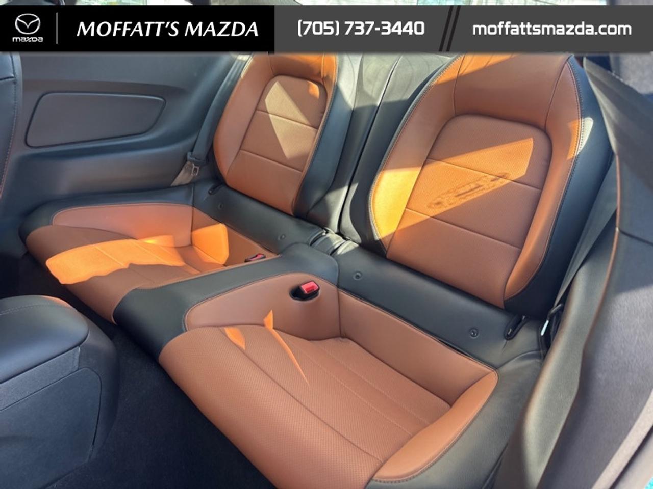2020 Ford Mustang EcoBoost Premium Photo