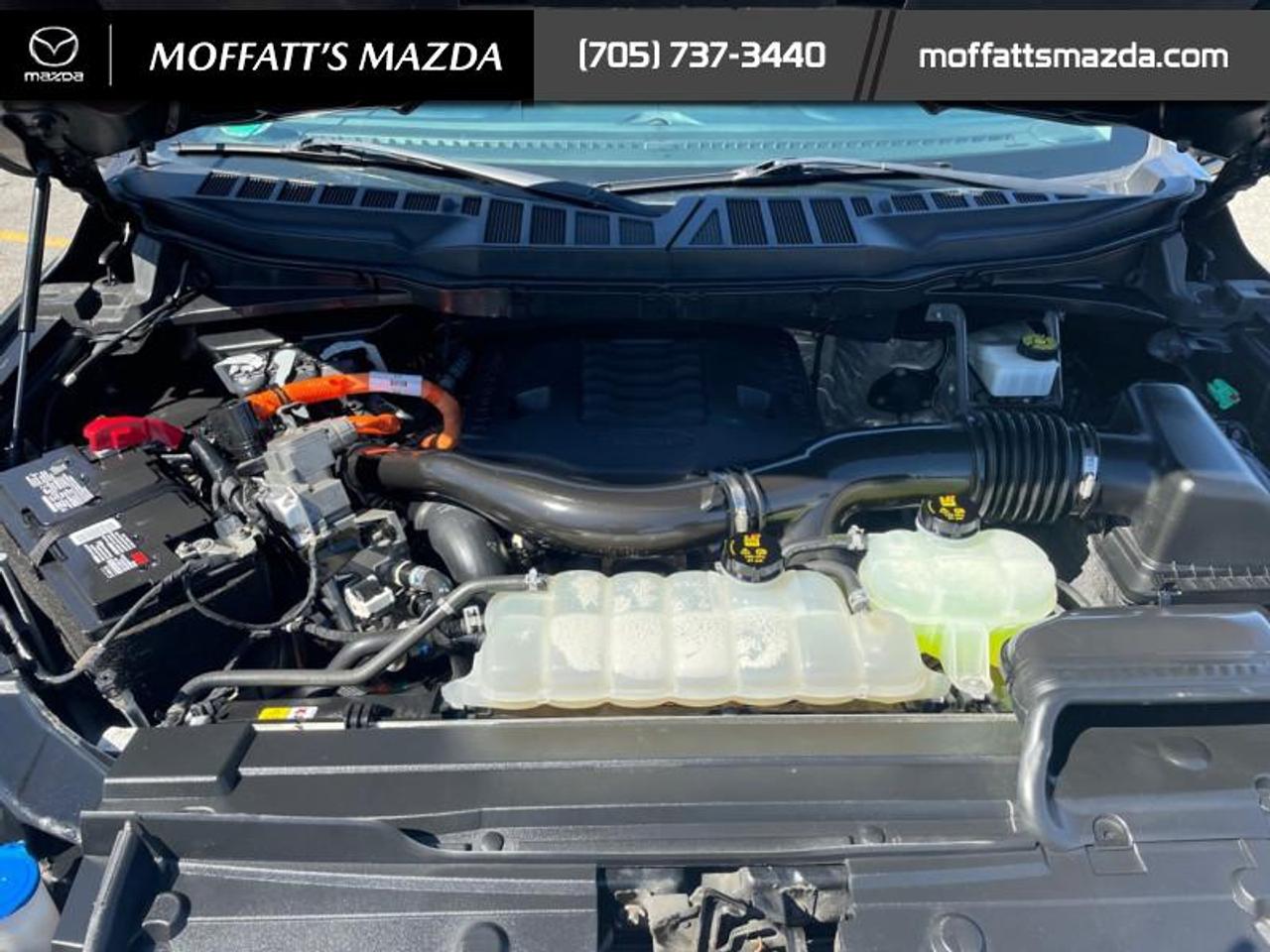 2023 Ford F-150 Limited  Photo