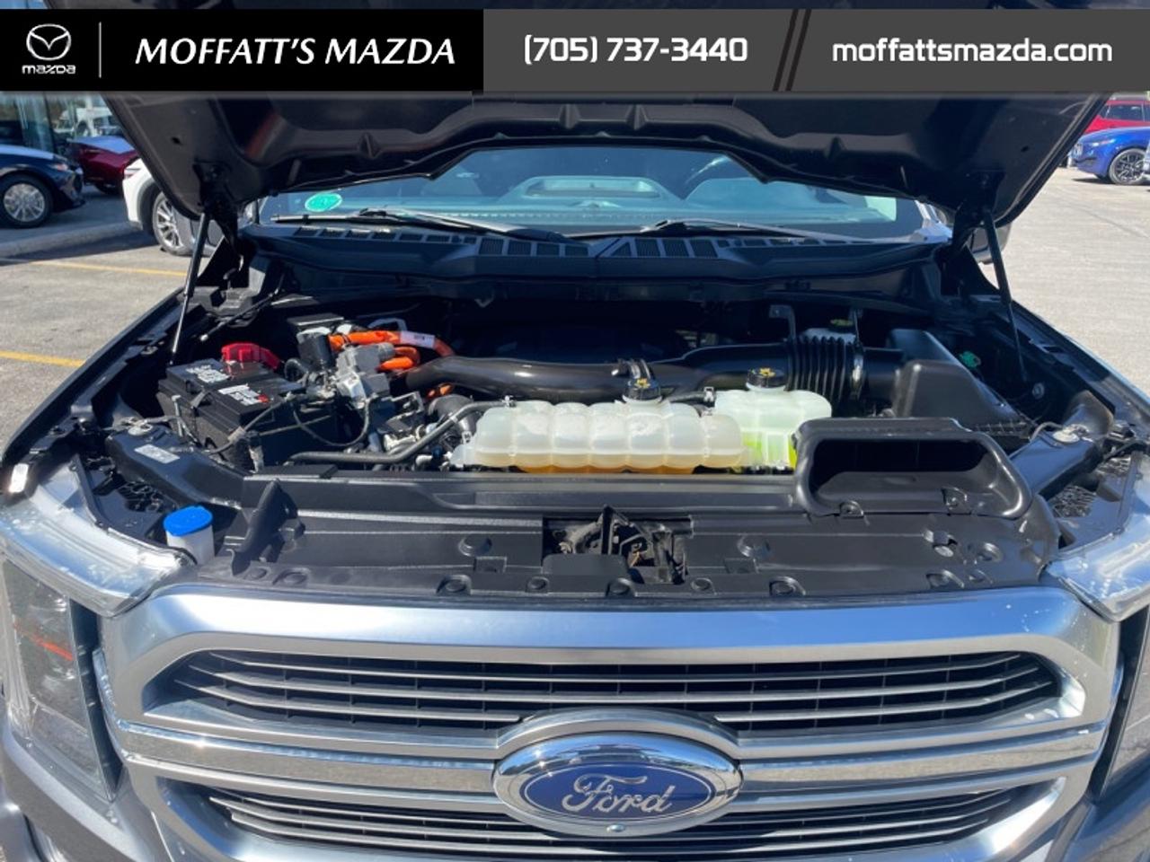 2023 Ford F-150 Limited  Photo