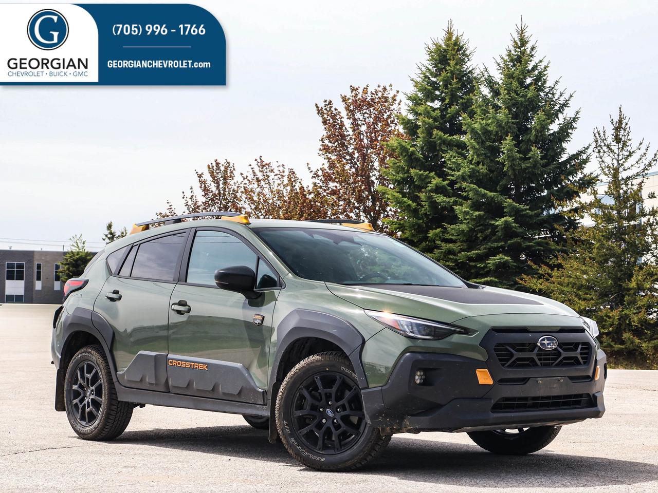 2025 Subaru Crosstrek Wilderness Photo0