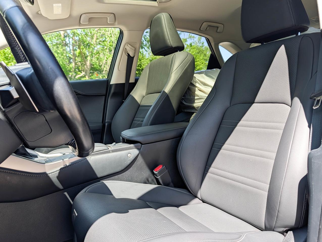 2021 Lexus NX 300H Photo