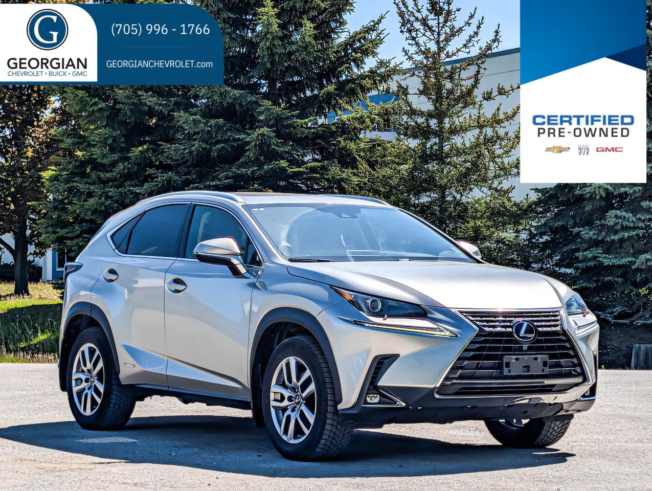 2021 Lexus NX 300H Photo