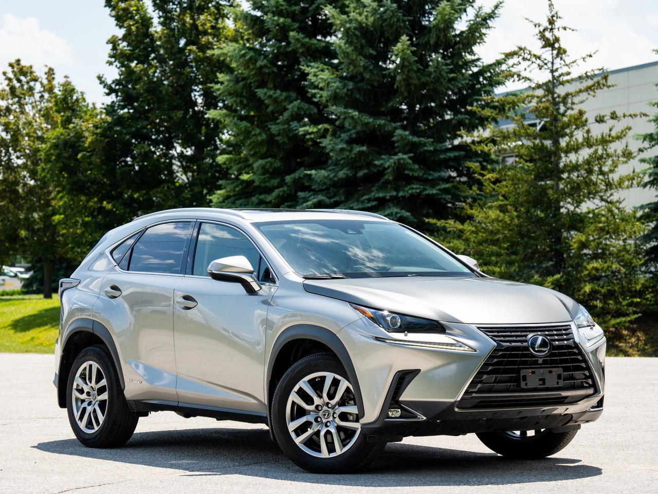 2021 Lexus NX 300H Photo1