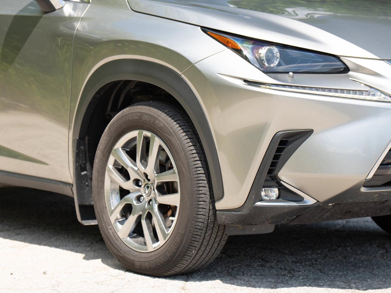 2021 Lexus NX 300H Photo