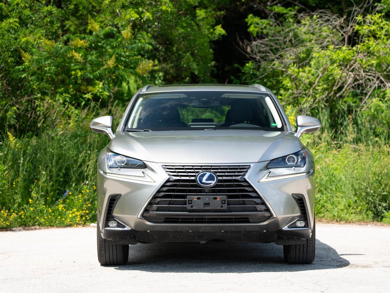 2021 Lexus NX 300H Photo