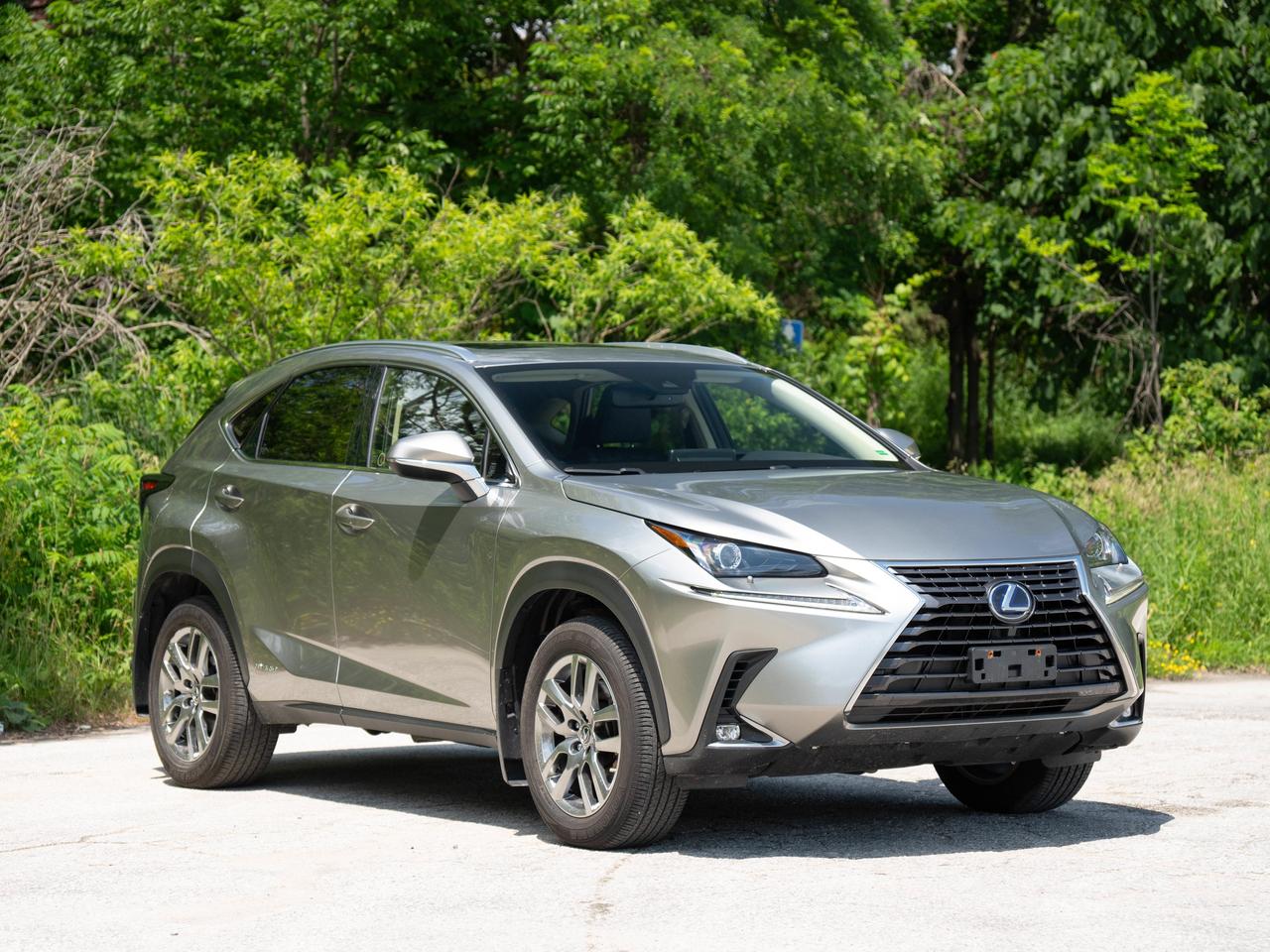 2021 Lexus NX 300H Photo