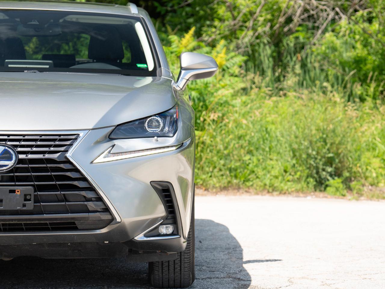 2021 Lexus NX 300H Photo
