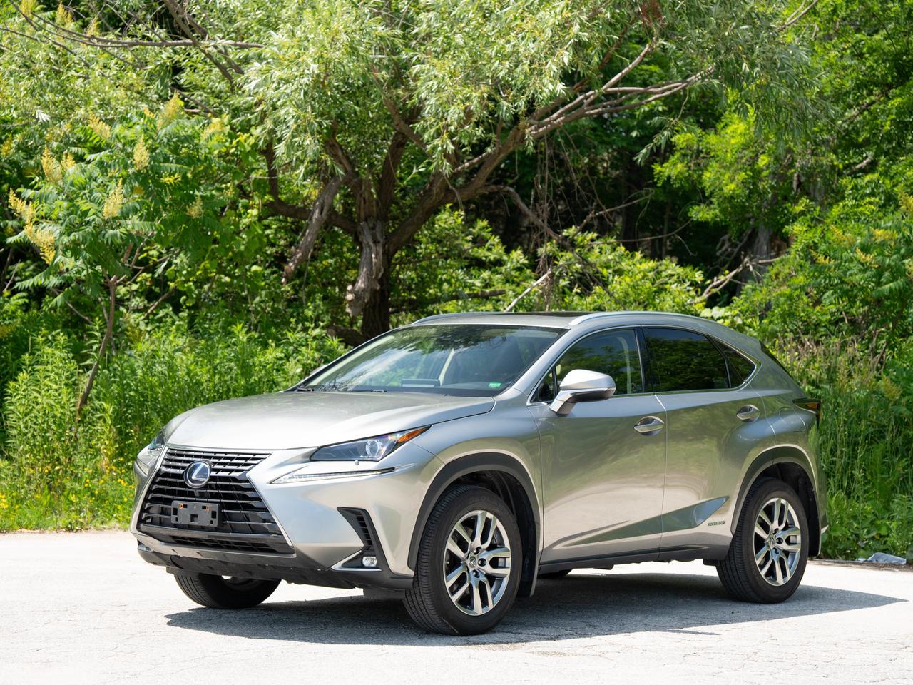 2021 Lexus NX 300H Photo