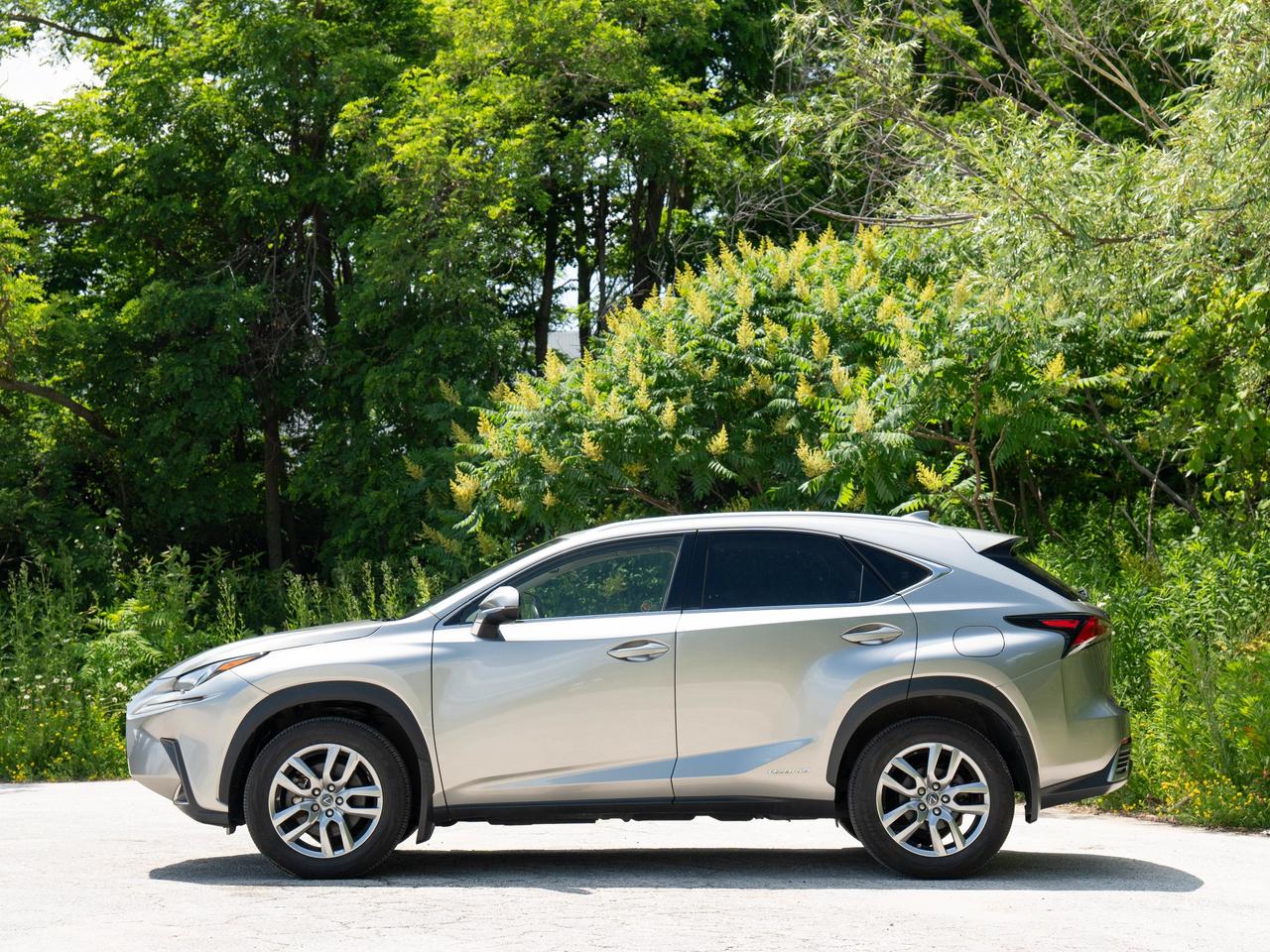 2021 Lexus NX 300H Photo