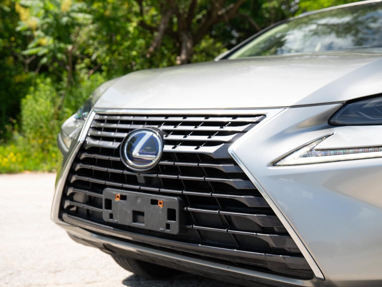 2021 Lexus NX 300H Photo