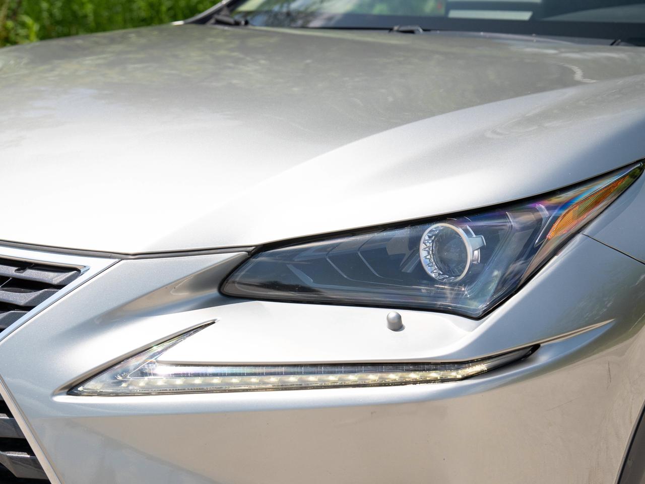 2021 Lexus NX 300H Photo