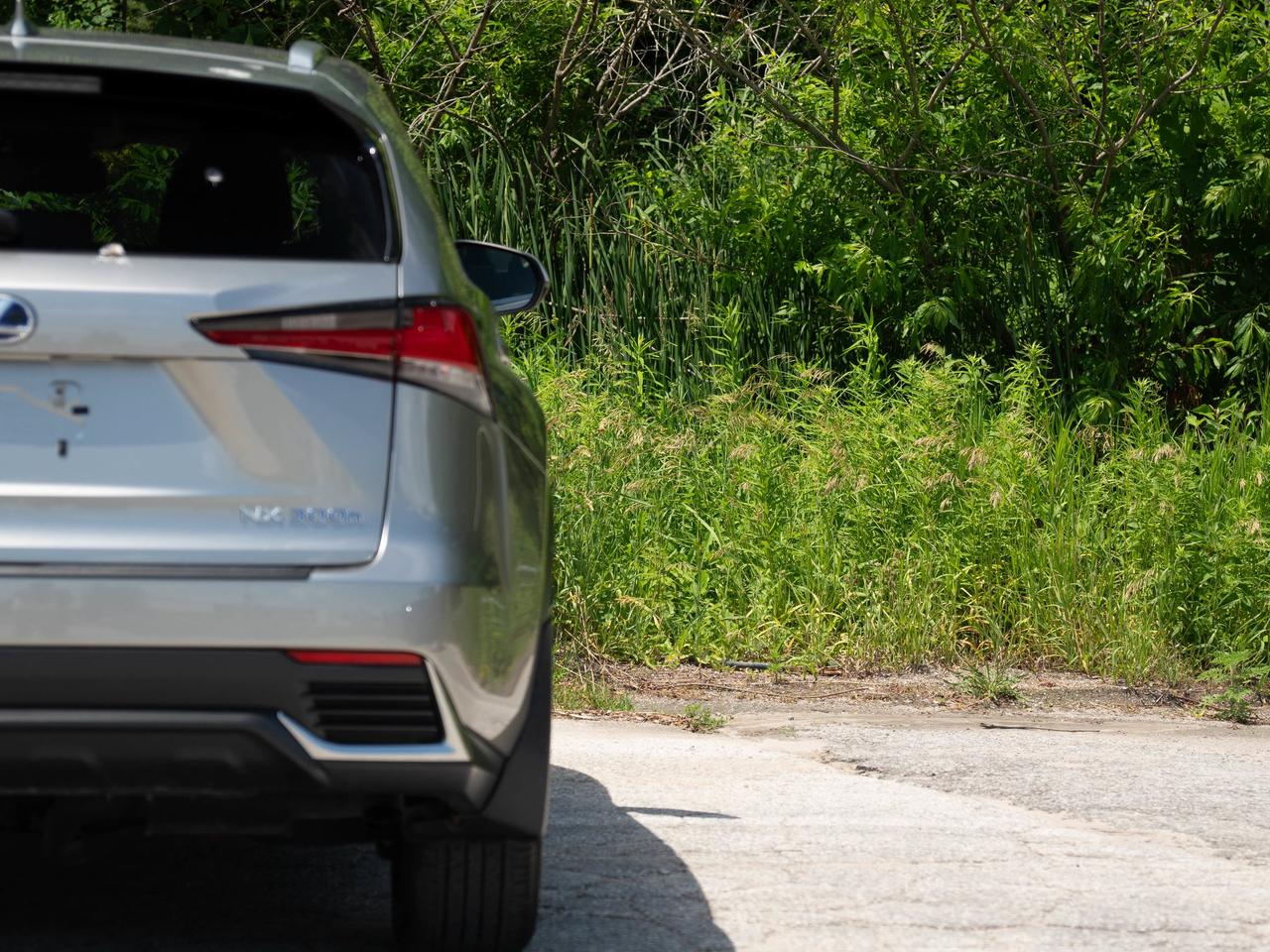 2021 Lexus NX 300H Photo