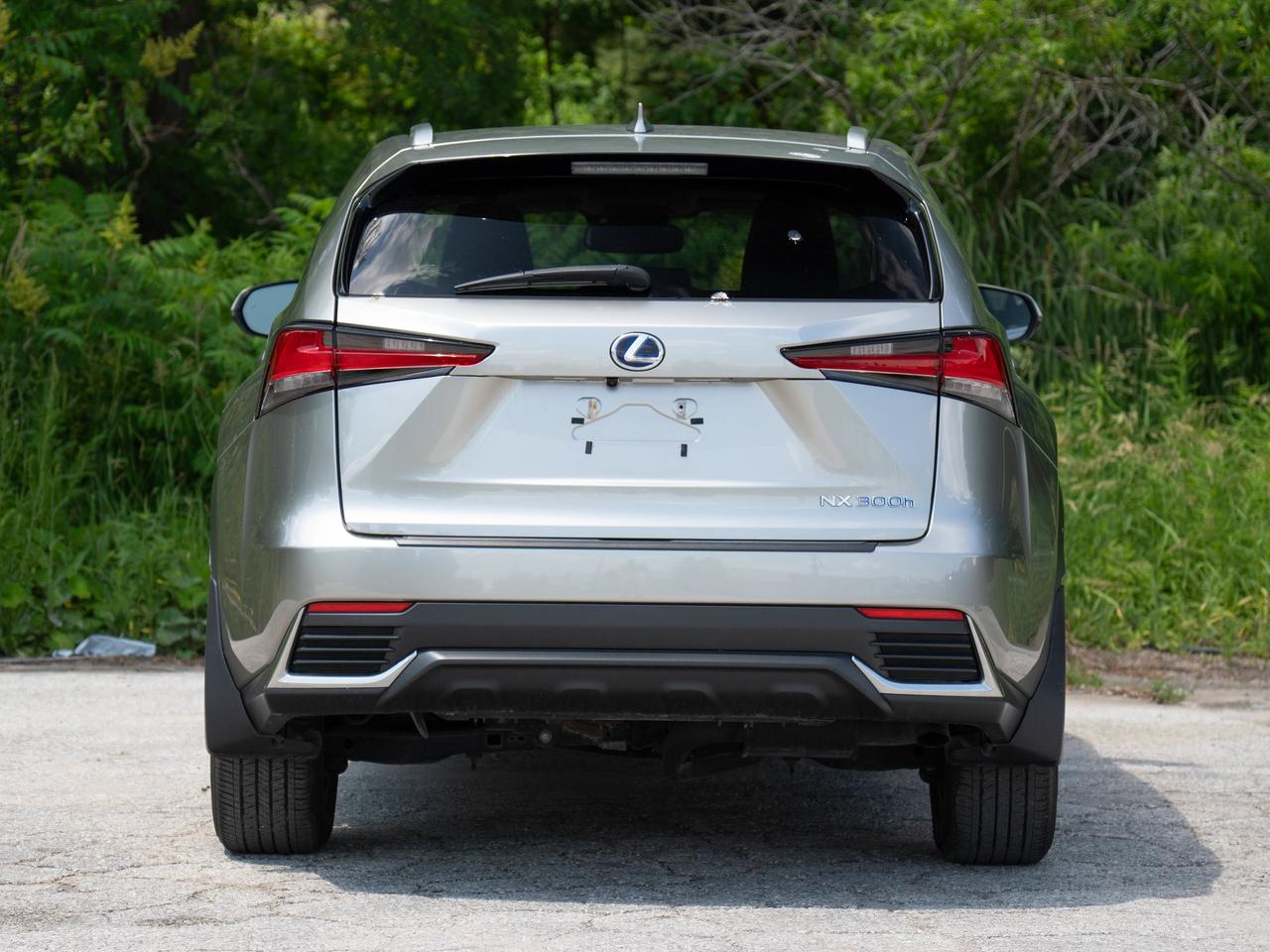 2021 Lexus NX 300H Photo