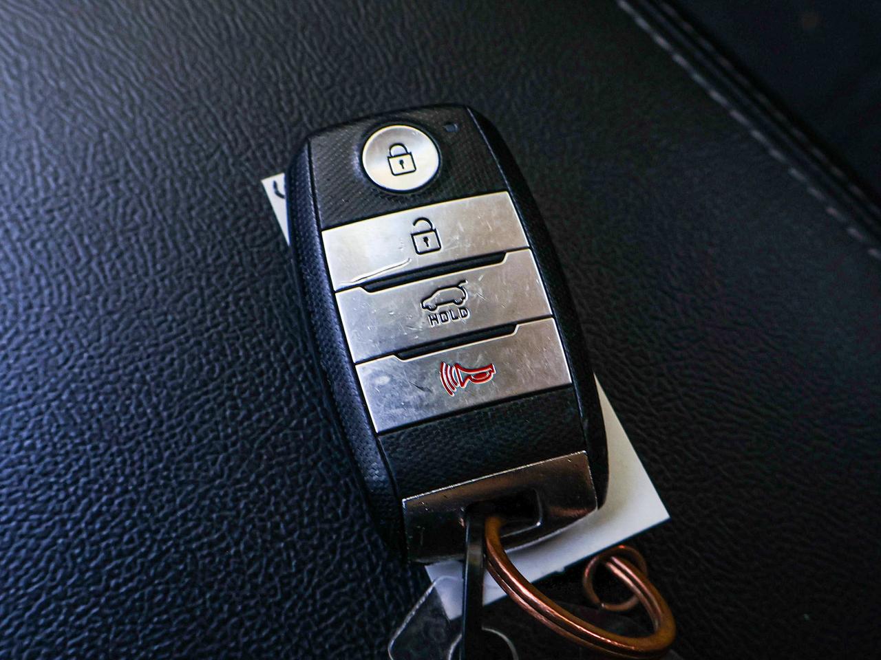2019 Kia Sorento LX Photo