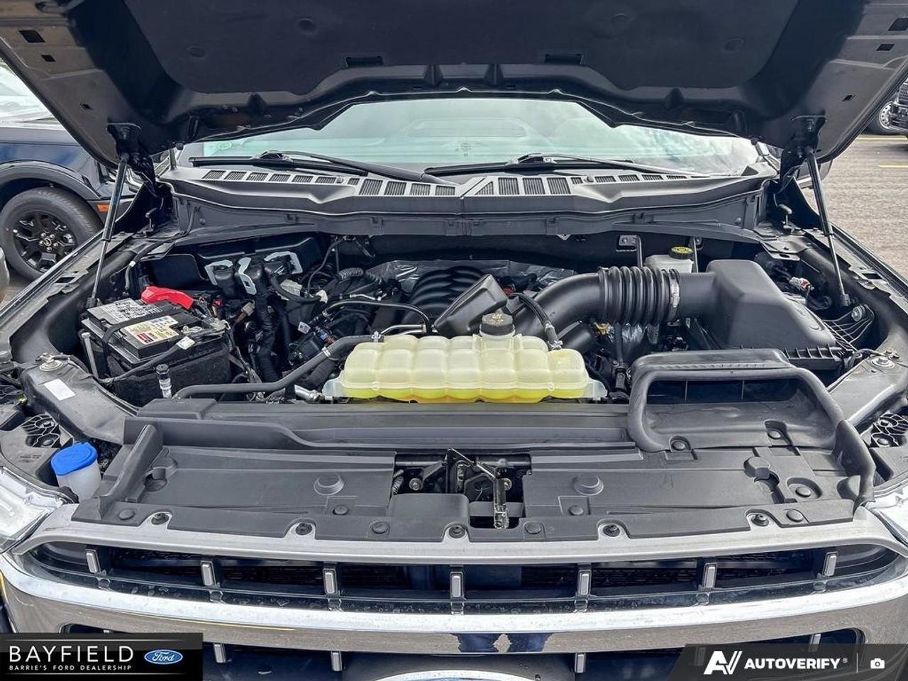 2021 Ford F-150  Photo