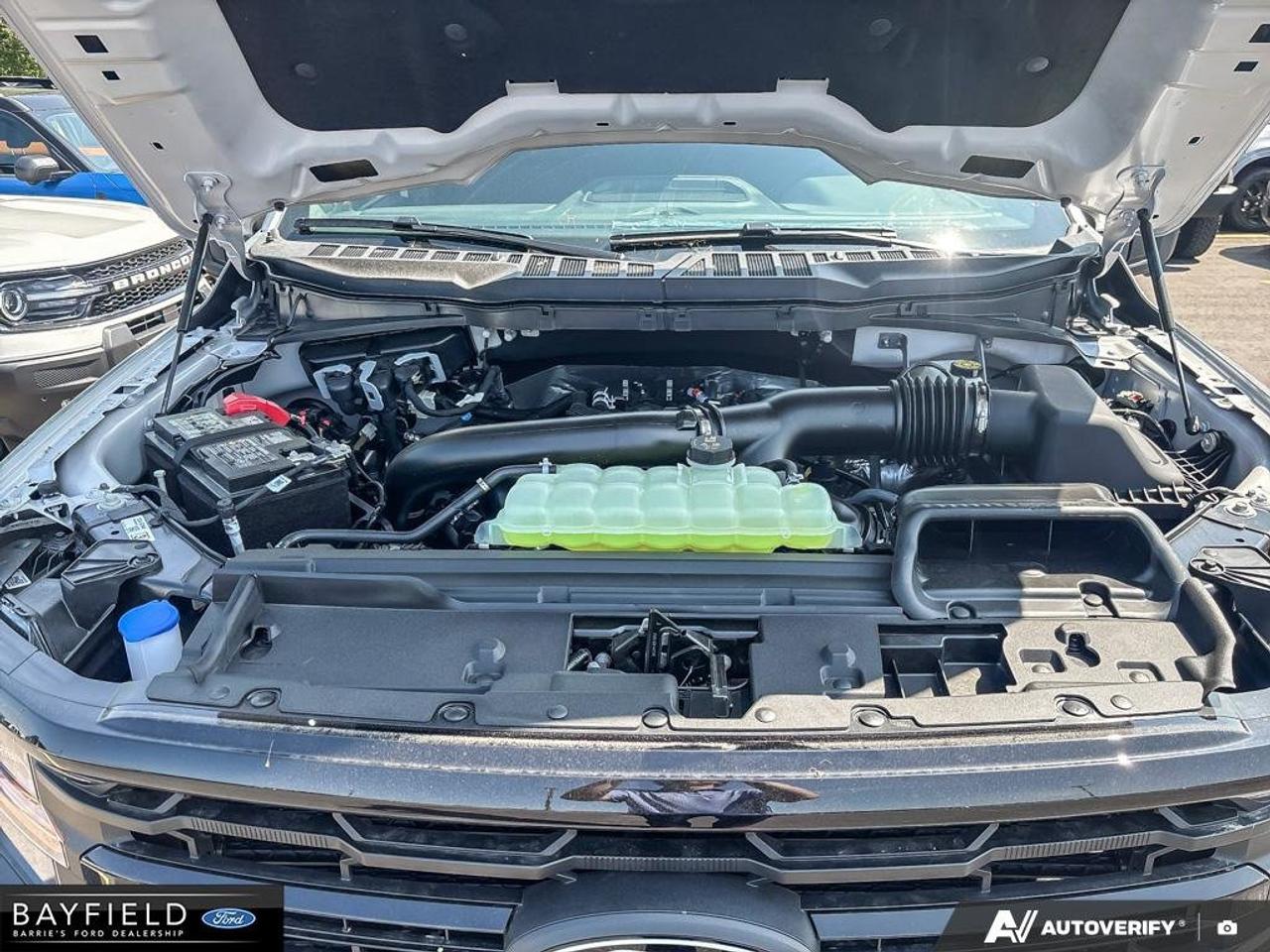 2026 Ford F-150 XLT 4WD SuperCrew 5.5' Box Photo