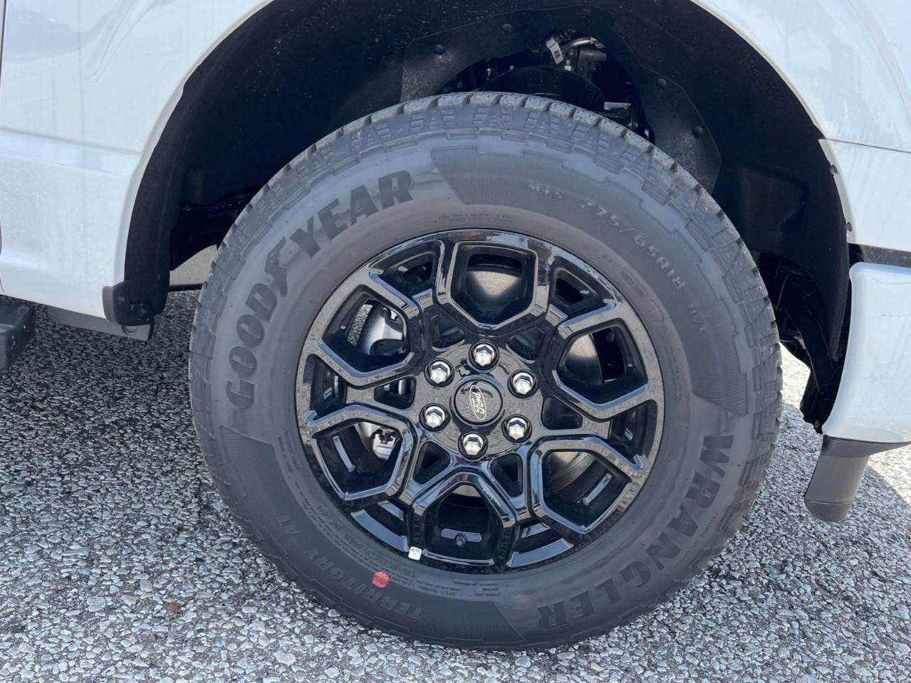 2026 Ford F-150 XLT Photo