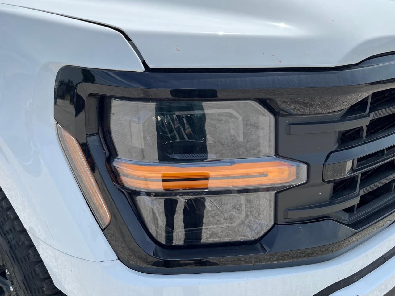 2026 Ford F-150 XLT Photo
