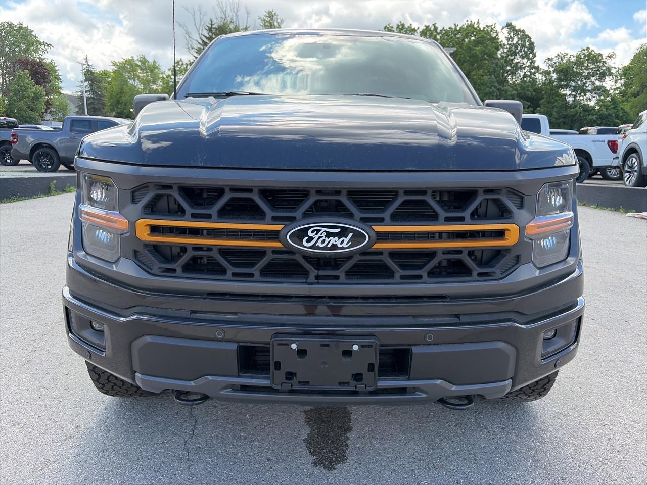 2026 Ford F-150 Tremor 4WD SuperCrew 5.5' Box Photo