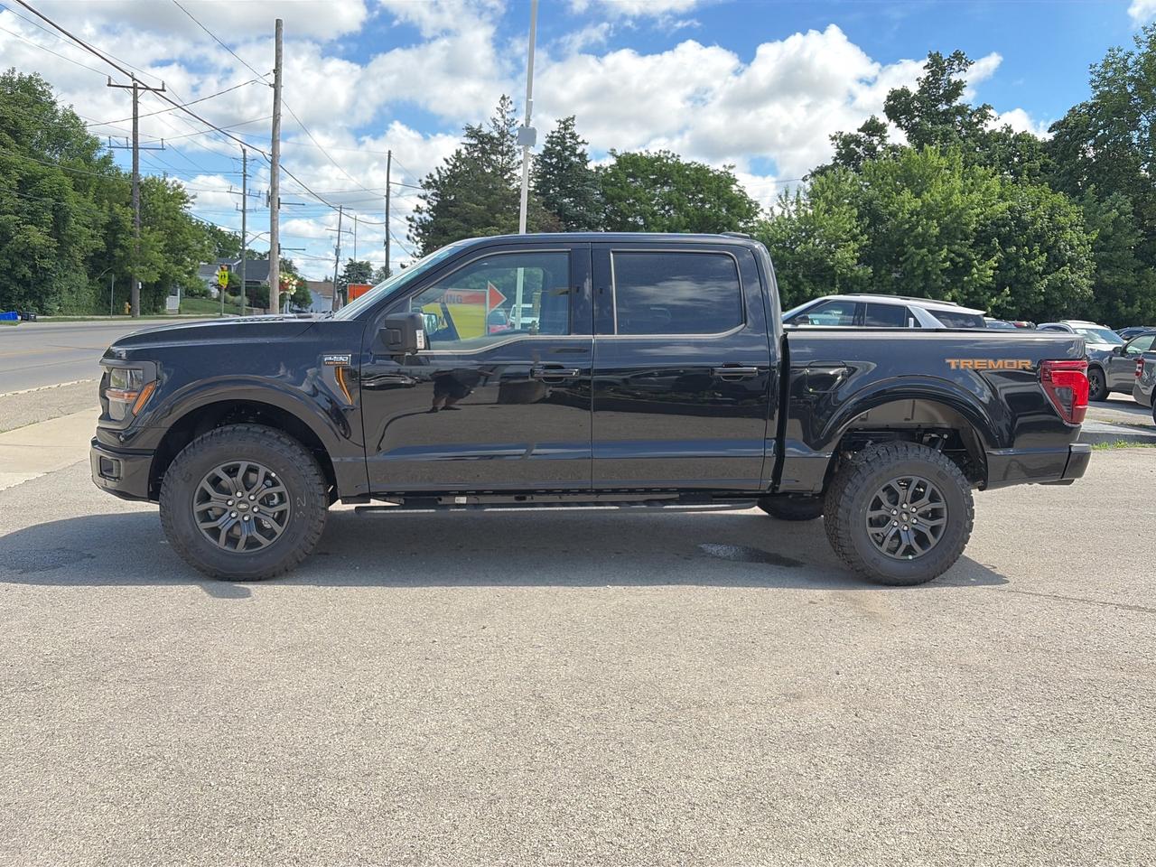 2026 Ford F-150 Tremor 4WD SuperCrew 5.5' Box Photo