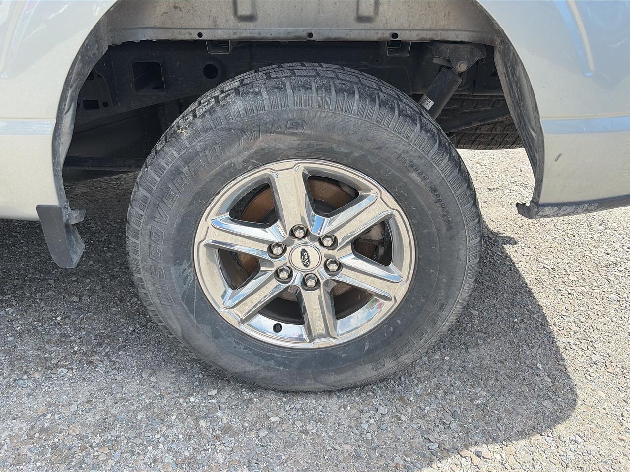 2024 Ford F-150 XLT 4WD SuperCrew 5.5' Box Photo