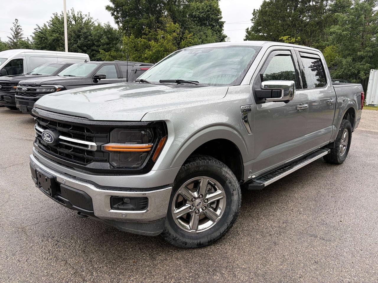 2024 Ford F-150 XLT 4WD SuperCrew 5.5' Box Photo0