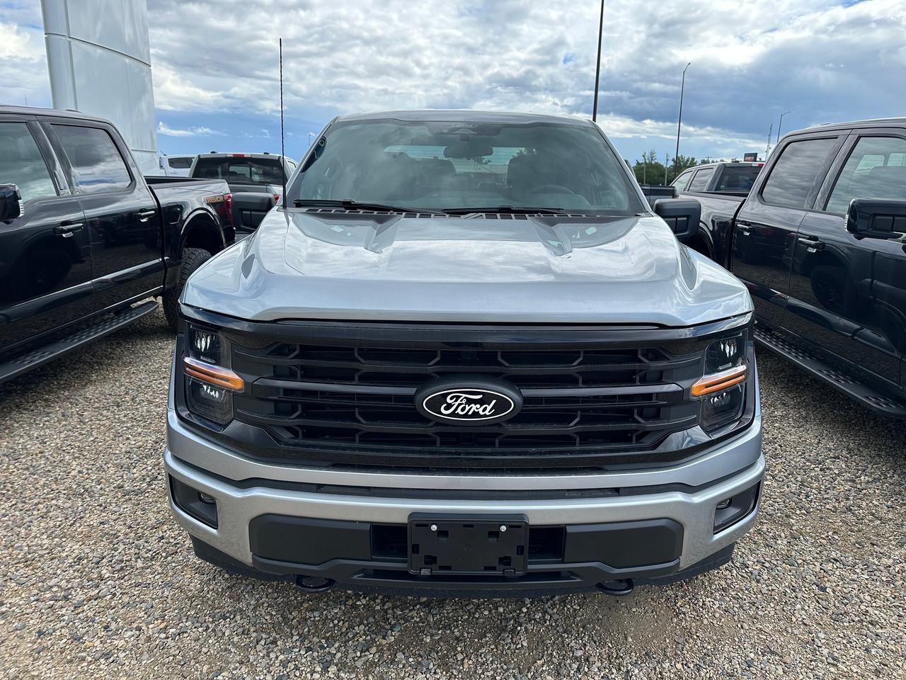 2026 Ford F-150 XLT 4WD SuperCrew 5.5' Box 301A Photo