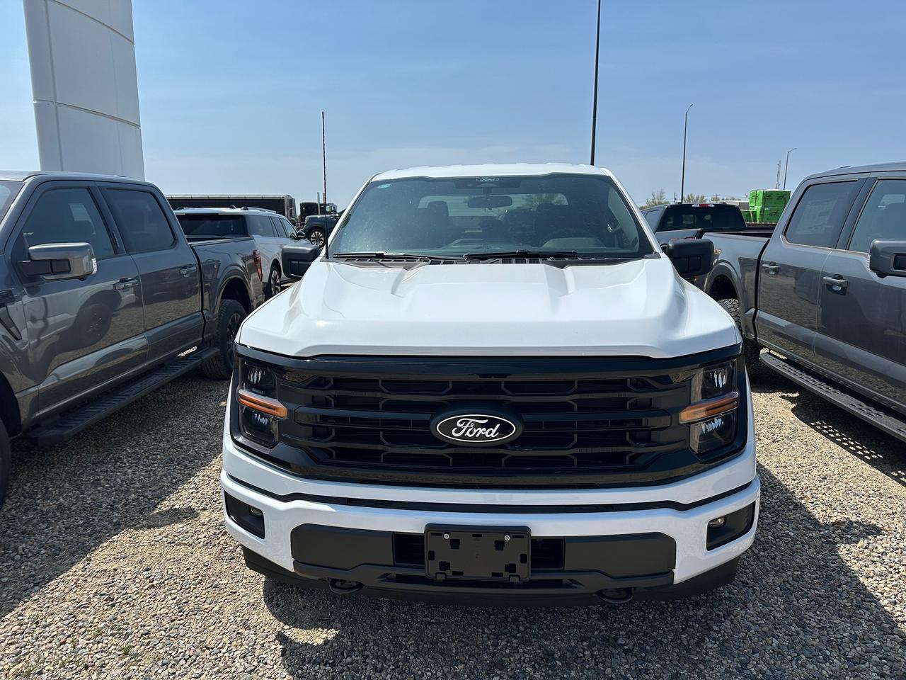 2026 Ford F-150 XLT 4WD SuperCrew 6.5' Box 301A Photo5