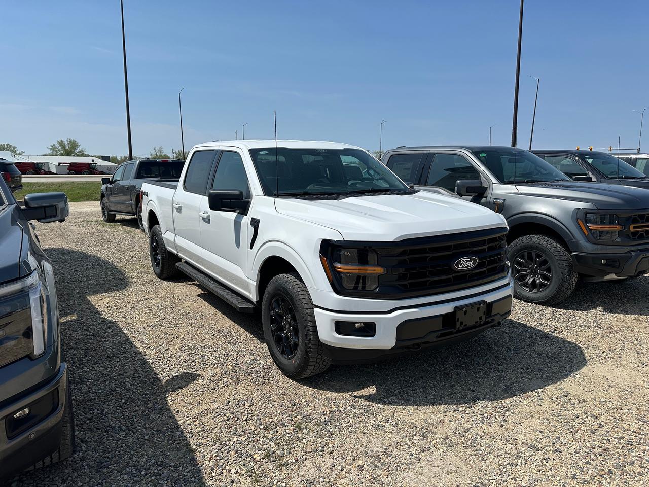 2026 Ford F-150 XLT 4WD SuperCrew 6.5' Box 301A Photo5