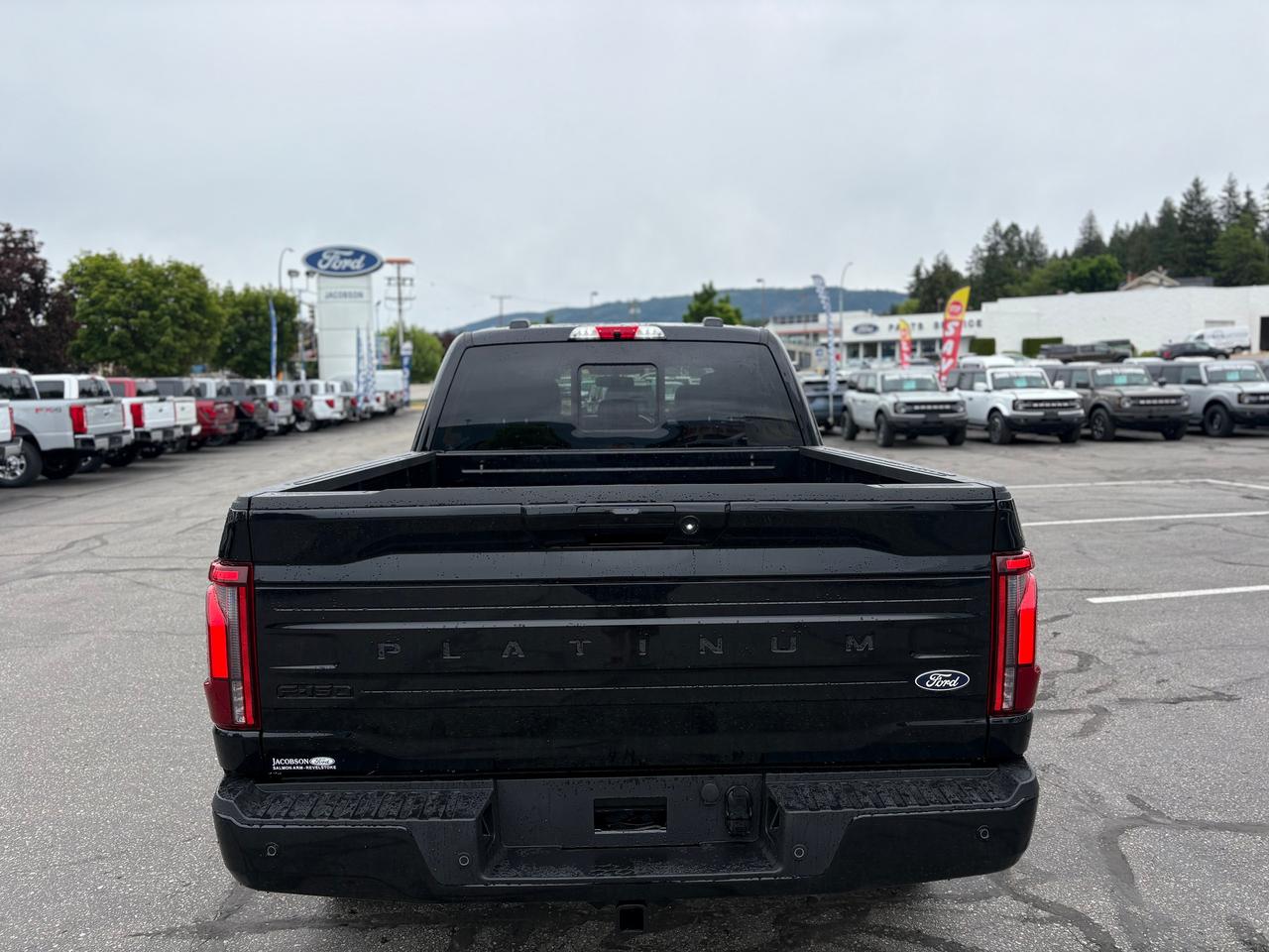 2026 Ford F-150 Platinum Photo3