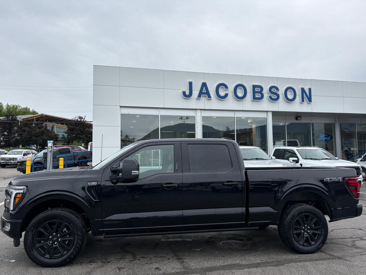 2026 Ford F-150 Platinum Photo1