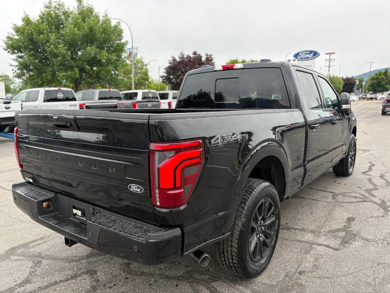 2026 Ford F-150 Platinum Photo4