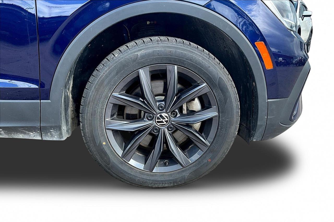 2024 Volkswagen Tiguan  Photo