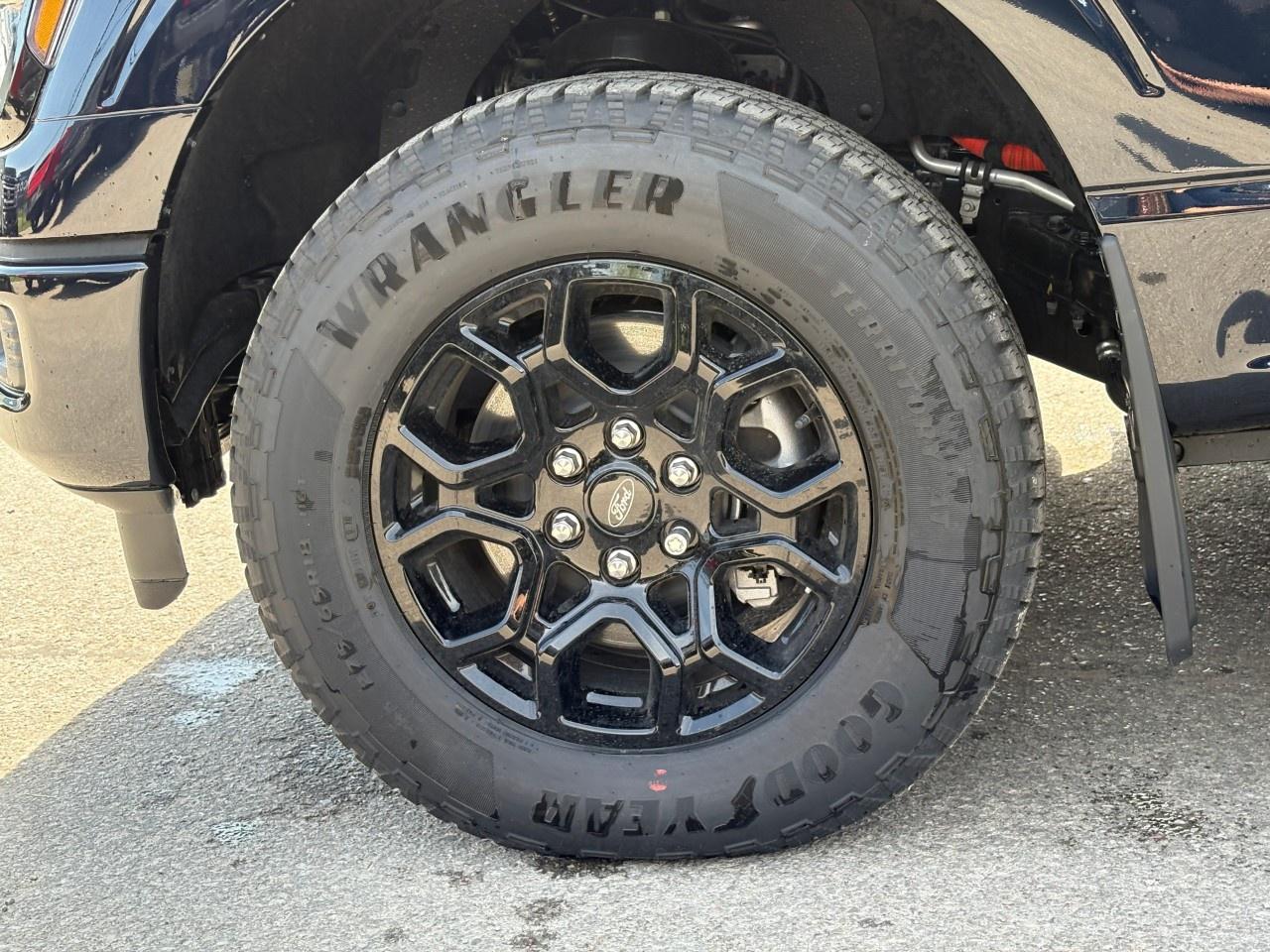 2026 Ford F-150 XLT 4WD SuperCrew 6.5' Box Photo