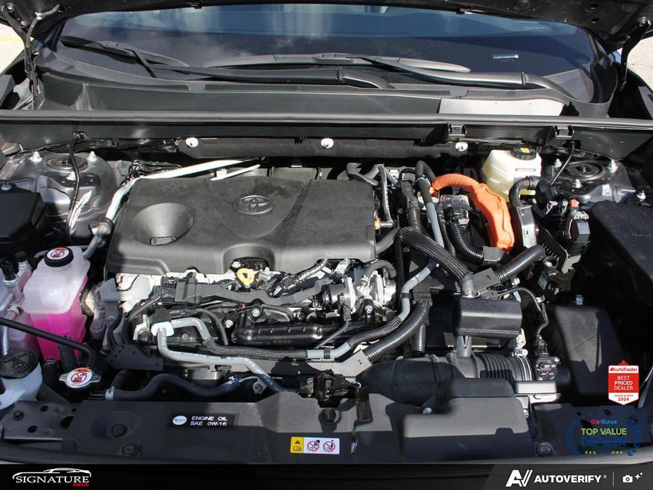 2025 Toyota RAV4 XLE Premium AWD No Accident Photo