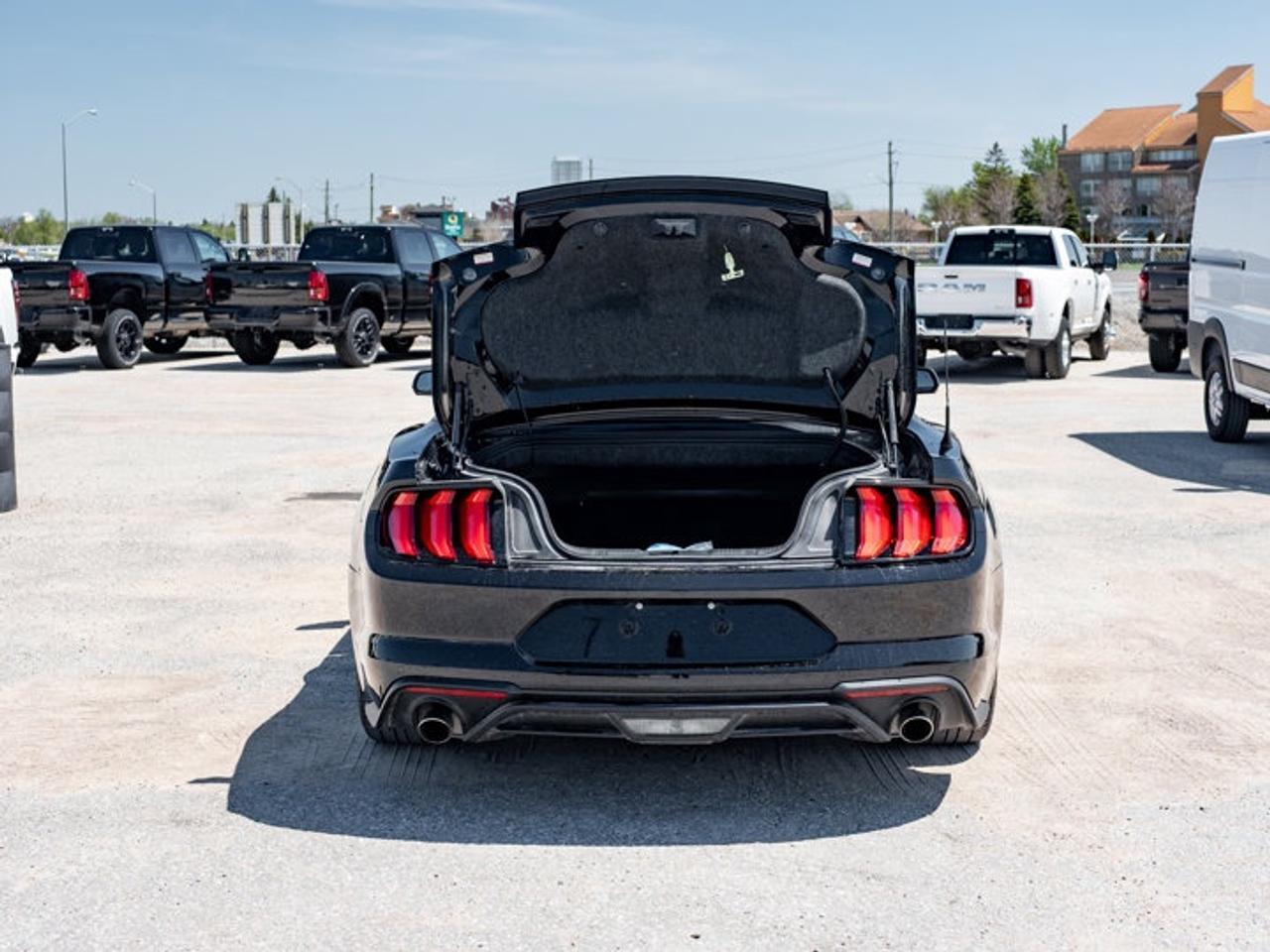 2021 Ford Mustang I4CV Photo