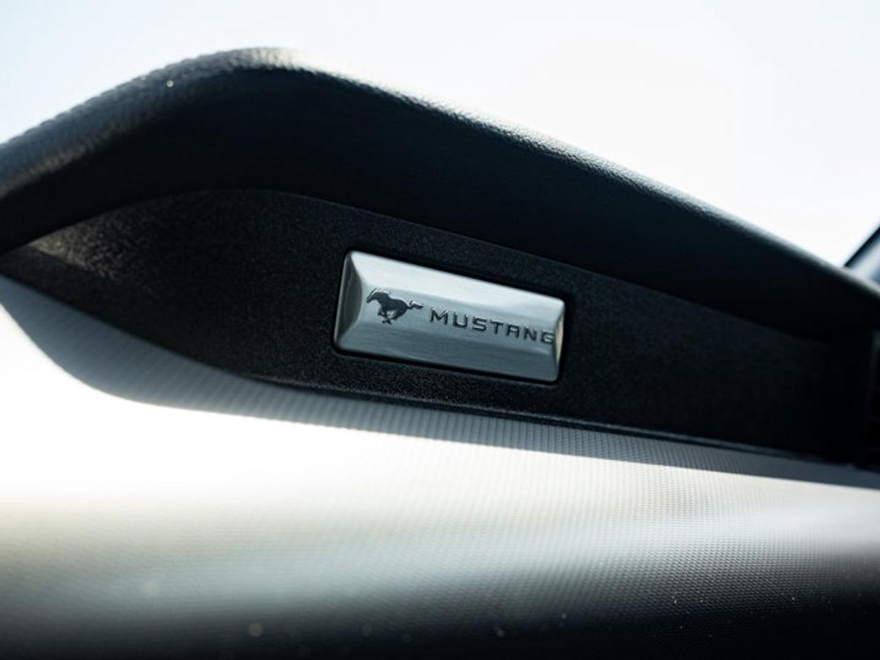 2021 Ford Mustang I4CV Photo
