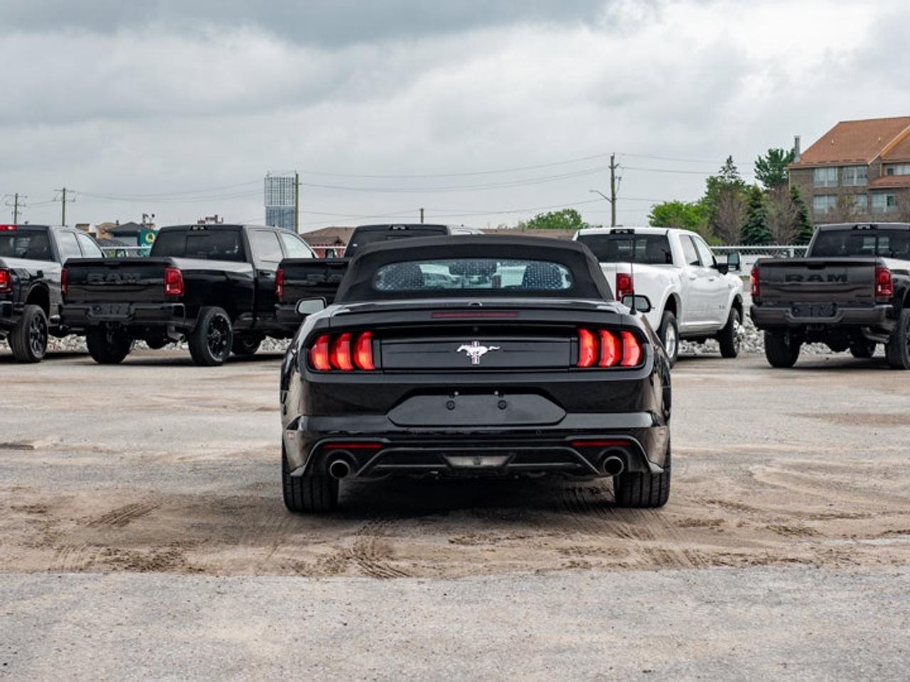 2021 Ford Mustang I4CV Photo
